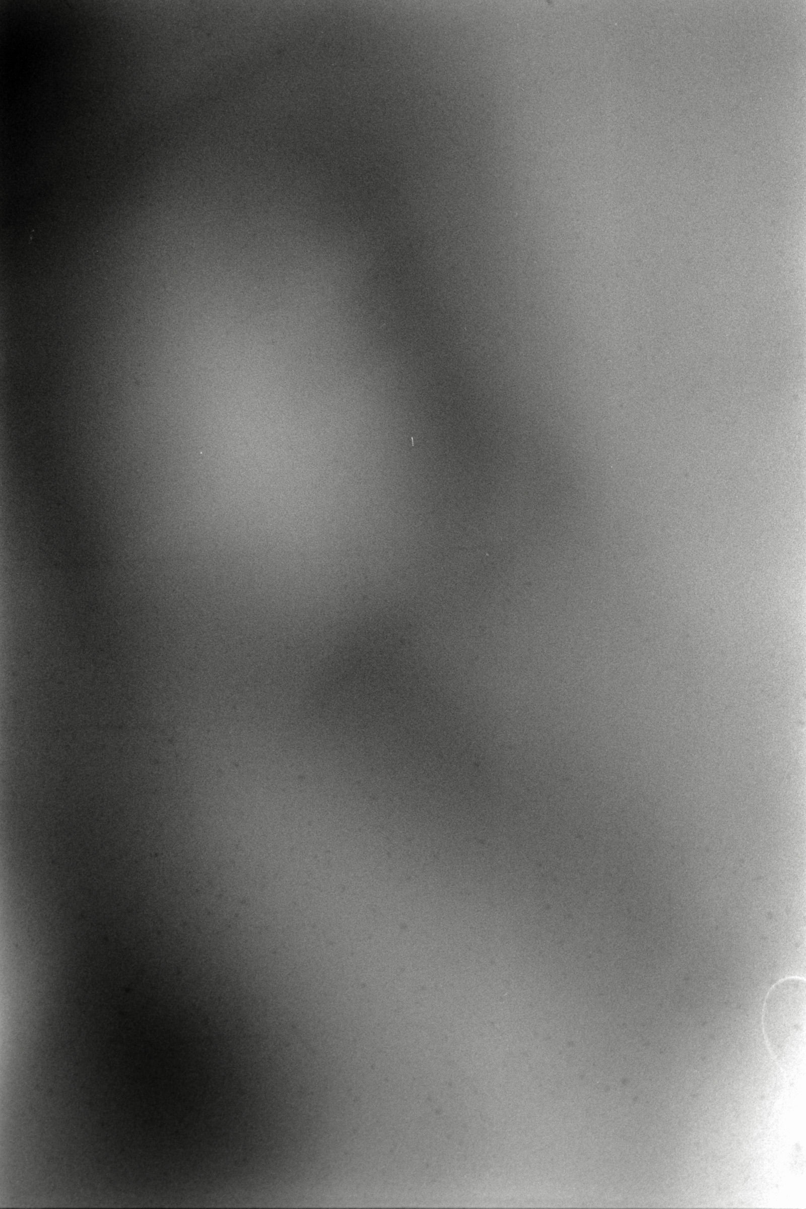 AHP F1995 04 008 sc240817 img01 NLP